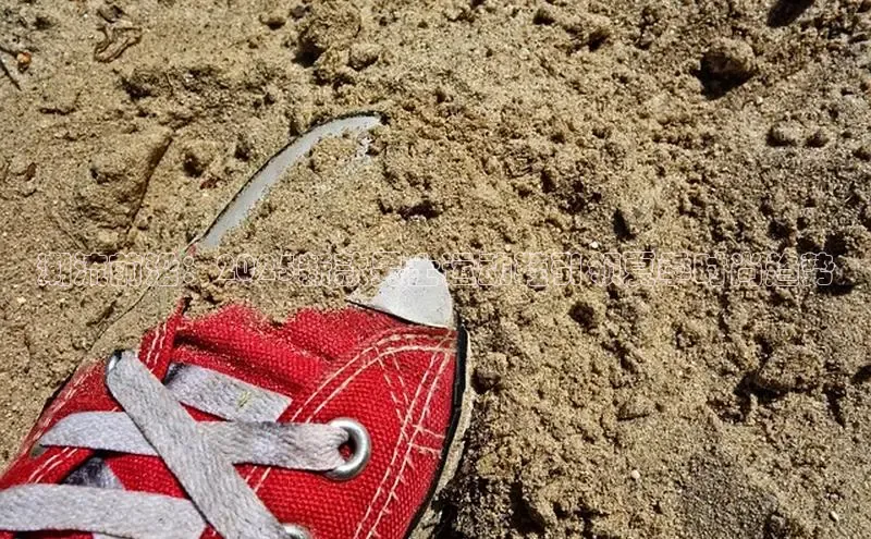 尊龙 z6(中国认证)集团有限公司官网