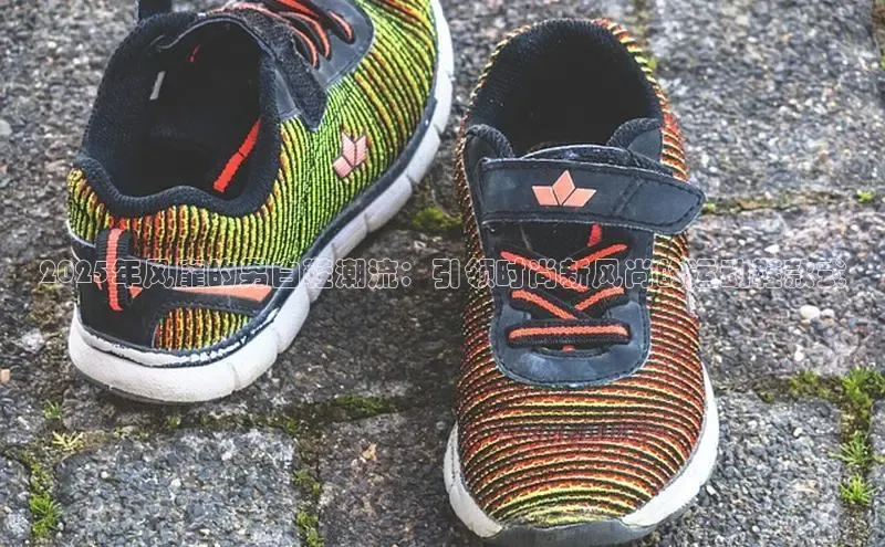 尊龙卡z6官方网站入口